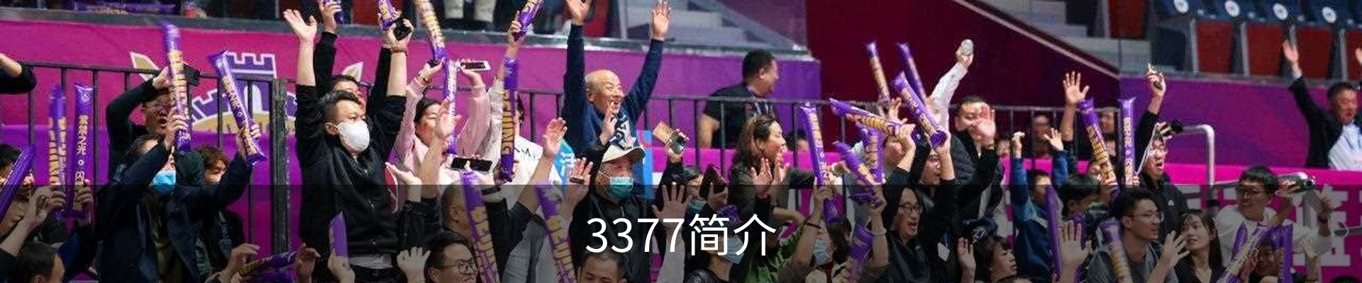 3377简介